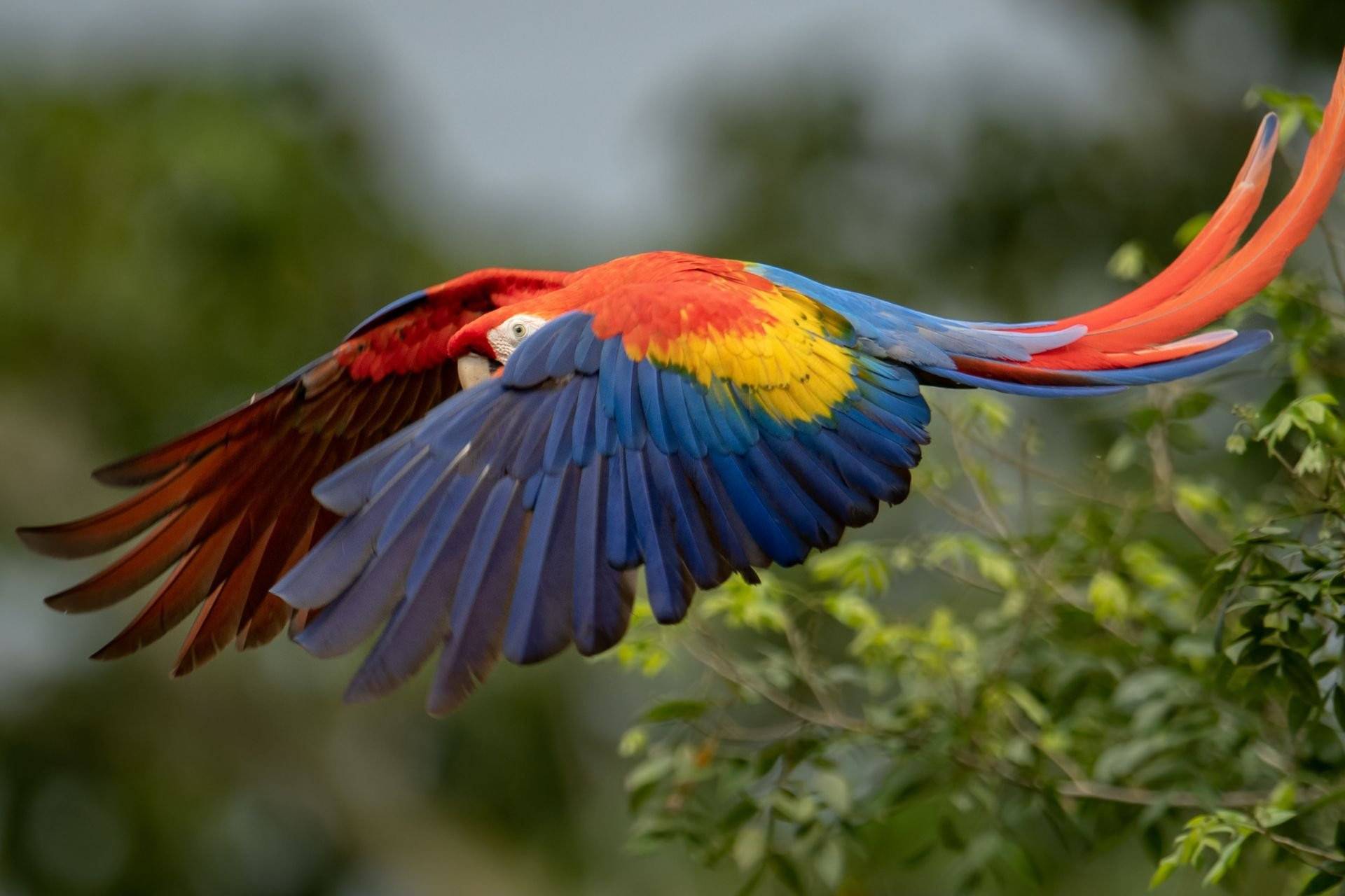 CIRCUIT COSTA RICA - 2026